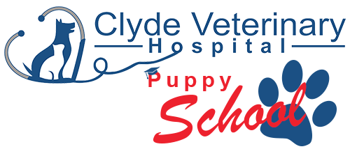 clyde vet puppy school now enrolling