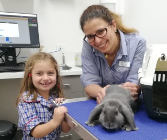 rabbit veterinary clinic melbourne casey
