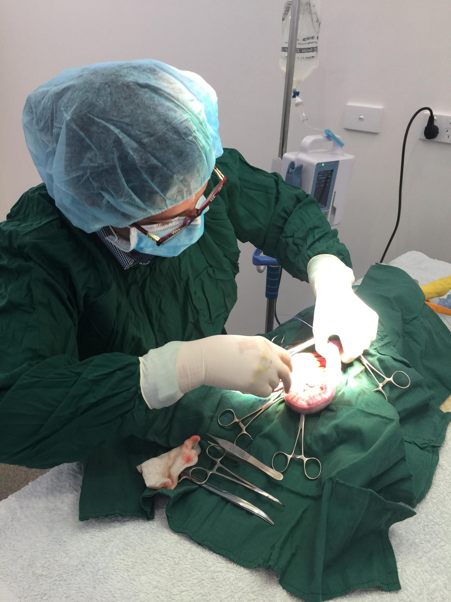 dr irene mitry experienced veterinary surgeon