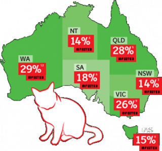 fiv cat aids rates in australia