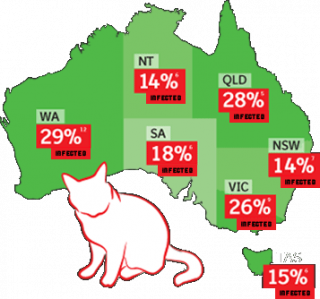 cat vaccinations australia