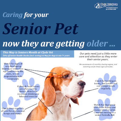 Geriatric sales dog care