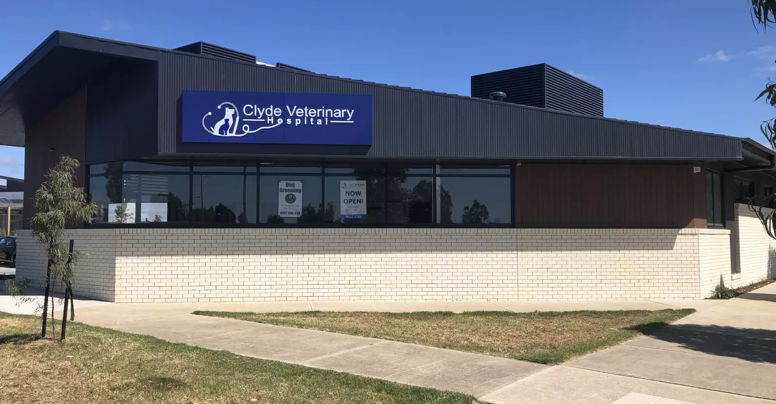 clyde veterinary clinic cat boarding