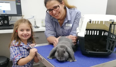 dr mitry veterinarian with rabbit patient