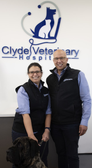 veterinarians dr irene and albert mitry clyde veterinary hospital casey