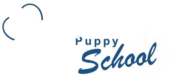 clyde vet puppy school training classes