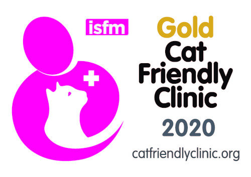 gold cat friendly vets clinic