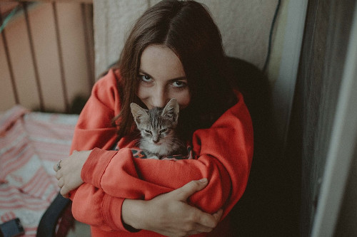 woman-in-red-long-sleeve-shirt-carrying-silver-tabby-kitten.jpg