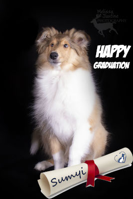 puppy training graduation