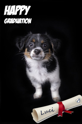 dog school graduate