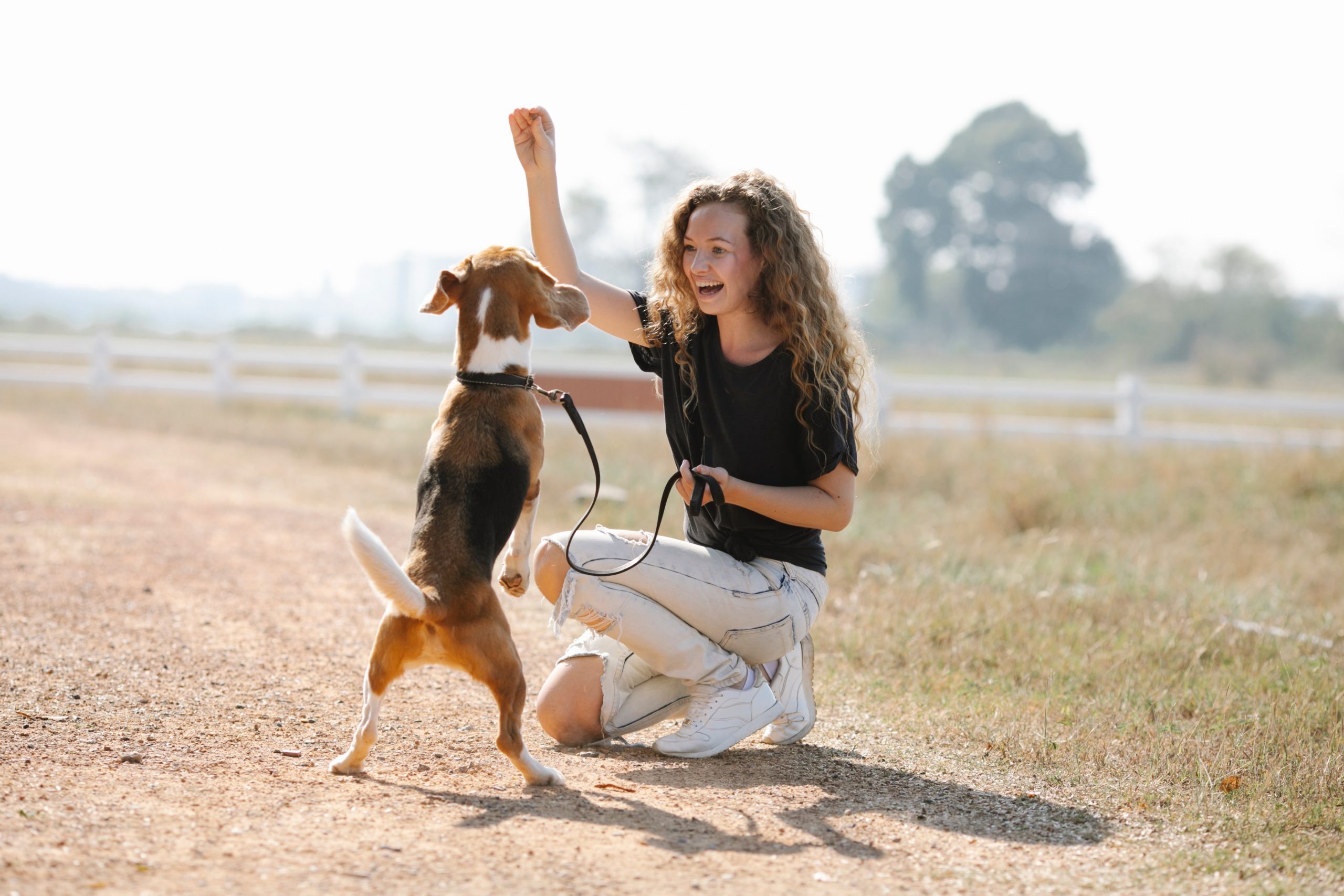 dog being trained with treat - pet enrichment blog